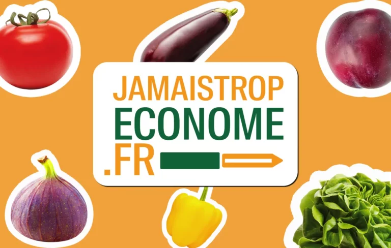 Jamais Trop Econome – Pour des menus malin équilibrés et à petit prix pour la semaine
